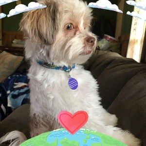 Meet your Posher, Sharon